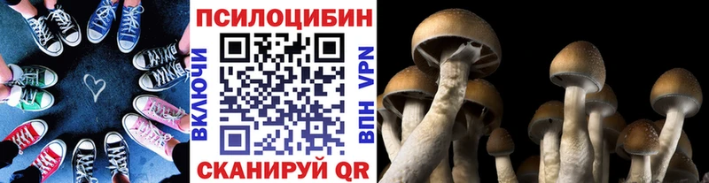 купить закладку  Володарск  Галлюциногенные грибы Psilocybine cubensis 